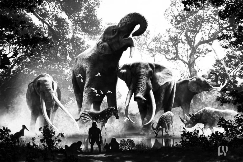A Continent of Natural Wonders and Vibrant Cultures Exploring the Richness of Africa