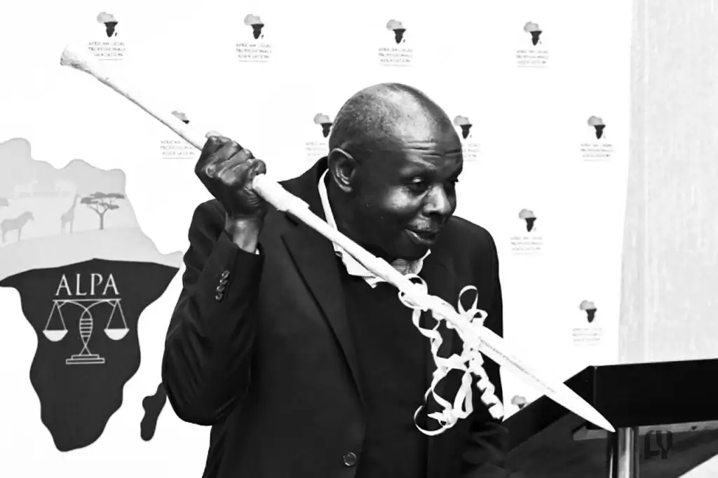 Hlophe JSC Appointment: Constitutional Challenge Looms