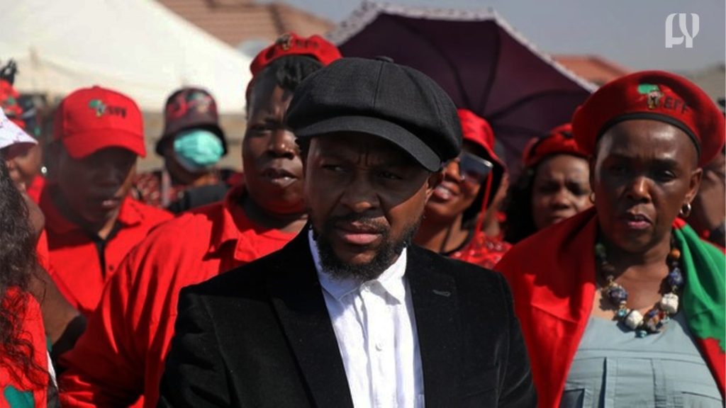 Mbuyiseni Ndlozi Resignation, EFF, Civil Society, Politics