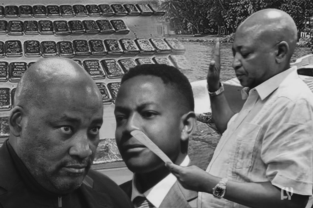 Forever Yena - Gold Smuggling Enterprise Shadows Over South African Politics